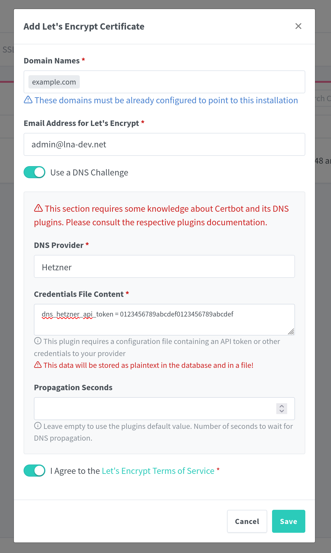 The Let’s Encrypt setup dialog with the DNS challenge in Nginx Proxy Manager