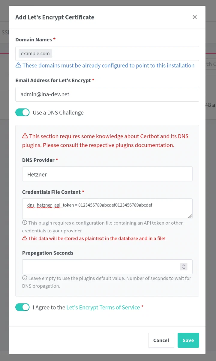 The Let’s Encrypt setup dialog with the DNS challenge in Nginx Proxy Manager