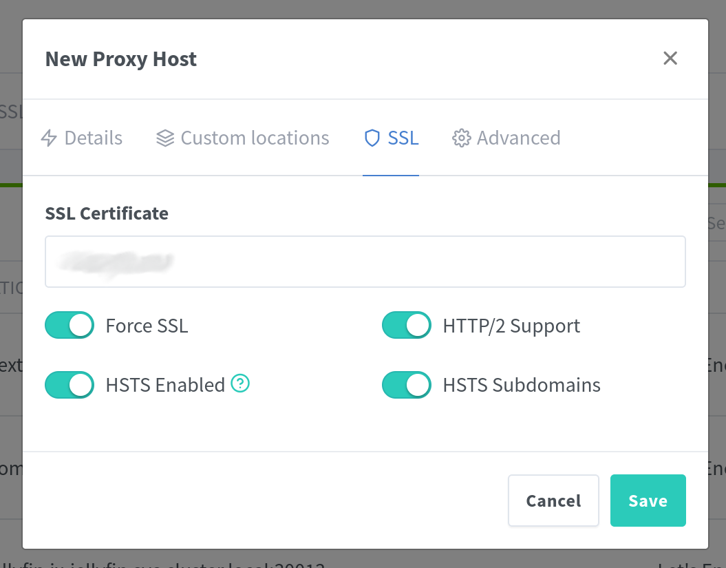 SSL config for new NPM proxy host