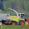 CLAAS Jaguar 850 at work in the mountains.jpg
