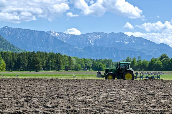 A tractor driving across a field with some storks on. In the background there can be seen some trees. Even more in the distance there are some mountains with snow on them.