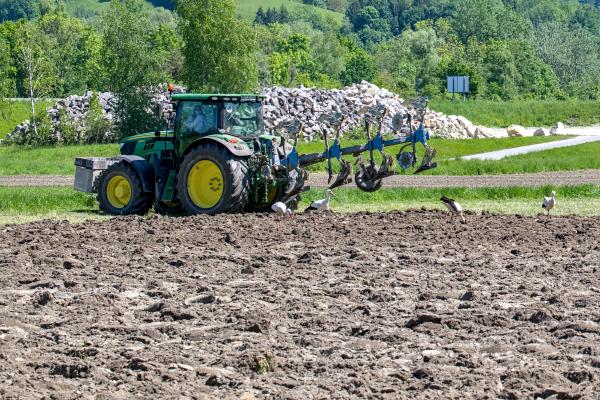 A green tractor standing on the left of a field. There are a few storks on the field.