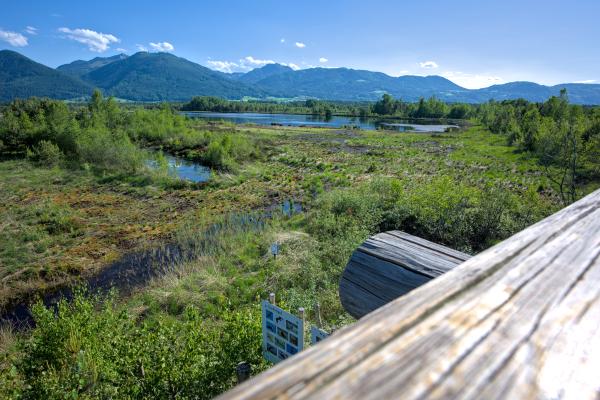 A image of a water body in the forest. In the background there is a forest and some mountains. The sky is blue with some white clouds.