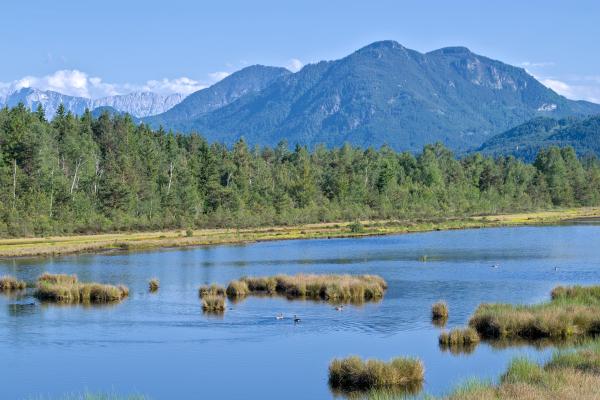 A image of a water body in the forest. In the background there is a forest and some mountains. The sky is blue with some white clouds.