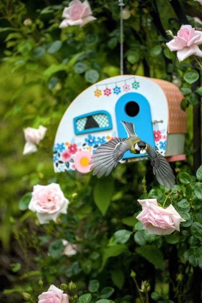 This is a photo of a cute bird with a little bird house in a caravan style. The bird house is hanging in a rose bush so the background is green with some roses.