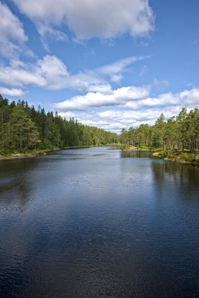 A river / lake with forest on either side of it. You can see the blue sky with some white clouds.