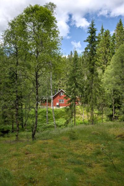 A nordic house between some trees and a small meadow in the foreground.