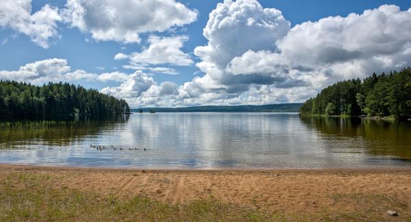 In the  foreground of the photo you can see a beach at a lake. Threw the lake are swimming multiple ducks. On the right and left side the forest is near and the background forest is far away.