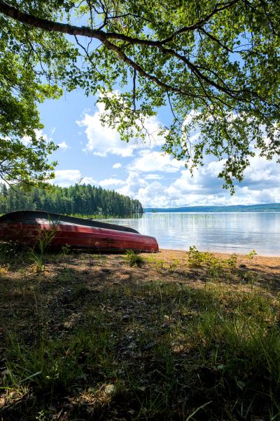 A boat laying at a beach with some grass before it and a tree over it. The beach is of a lake.