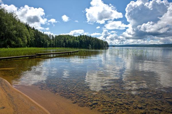 A lake with a forest in the background. There is a old pier over the water.