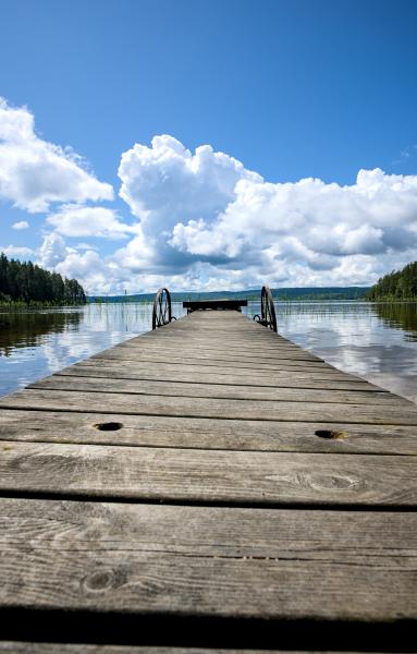 A wooden pier into a lake. It has some old looking wheels on it. To the right and left of the lake there are trees till the water. In the background it is a bit hilly. There is also a forest.