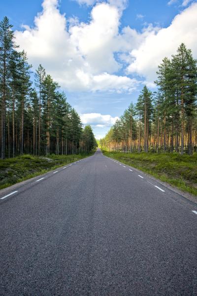 A swedish street threw the forest. It is a straight line and phtographed from the middle of the road. In the end of the road there is light.