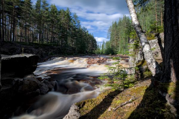 A waterfall with a forest in the background. The water is washed out because of the long exposure. The sky is blue and cloudy.
