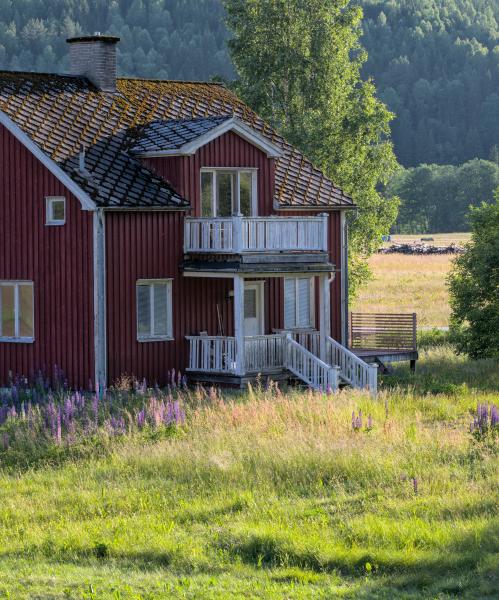 A nice swedish house with some flowers before it and a forest behind it.