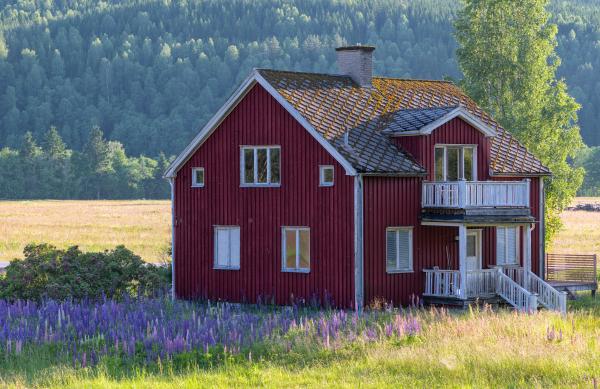 A typical red swedish house with some flowers in front of it.