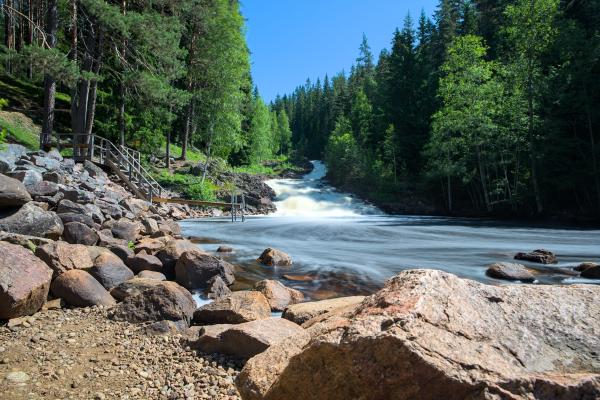 You can see a river with a waterfall. The waterfall is smooth because of long exposure. There is a forest and the blue sky. In the foreground are some rocks.