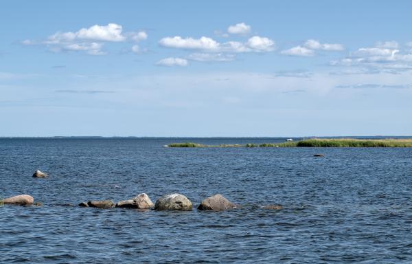 There are three visual layers in the sea. On the first one there are some stones aligned in a straight line. On the seconds it is a small island with grass on it and the third line on the horizon is the big island Öland.