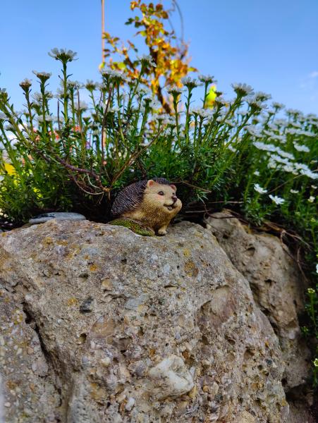 A camouflaged lizard lying on a textured stone, blending in with its surroundings in natural habitat.