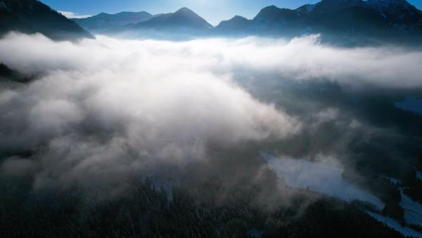 Aerial shot taken from above the clouds, showcasing a blanket of fluffy white clouds under a blue sky.