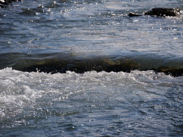 Nighttime city scene with illuminated buildings, street lights, and the vibrant life of the urban environment.