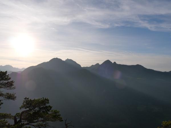 Image of the Bavarian mountains with a tree in the front and the mountains in the back.