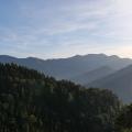P1013630.JPG