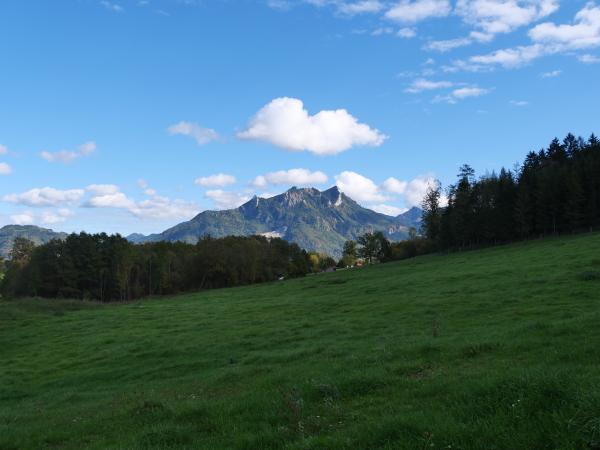 A image of a green field and a mountain in the background.