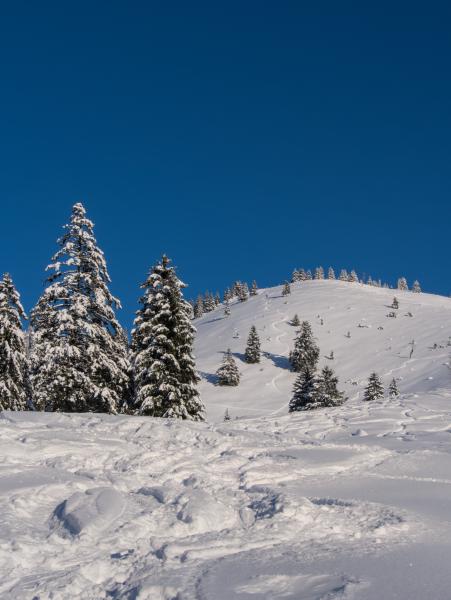 A winter scene in the bavarian mountains. There are a few trees on the left. On the right is a mountain with a ski trail and skier who goes up the mountain.