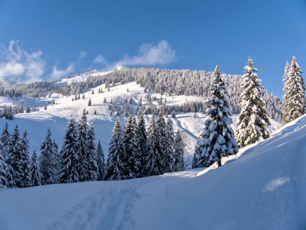 You can see a winter scene in the bavarian alps. The mountains are snow covered as are the trees. The sky is blue with some small low clouds.