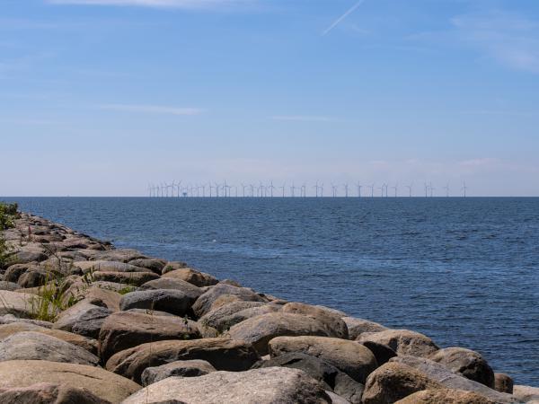 You can see a windpark in the background. In the foreground is the shore with a couple of stones. The photo was taken near Malmö.
