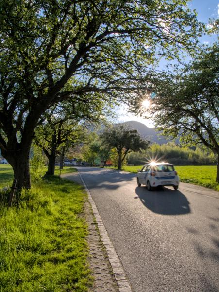 This is a photograph of a road against the sun. There are several sun stars. One in the trees about a car and two on the car itself. The car is blurred out because of the speed of it driving threw the scene.