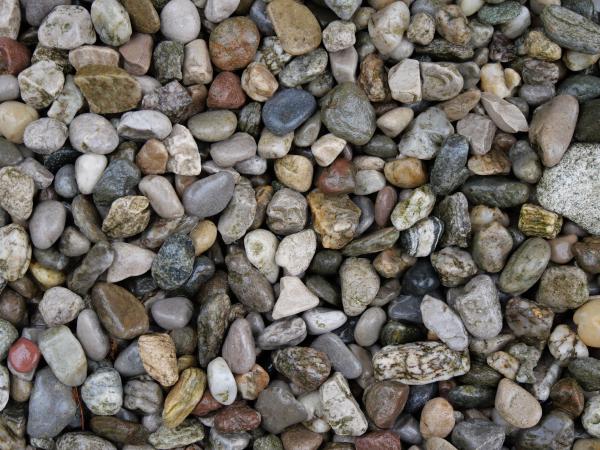 Gravel / little stones laying on the ground.