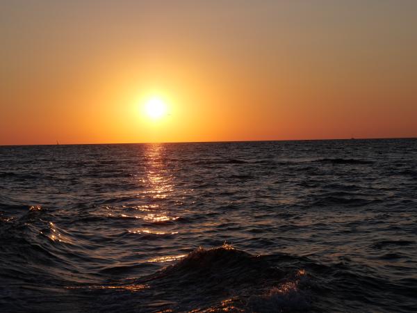 Golden sunlight reflecting off the gentle waves of the sea at sunset.