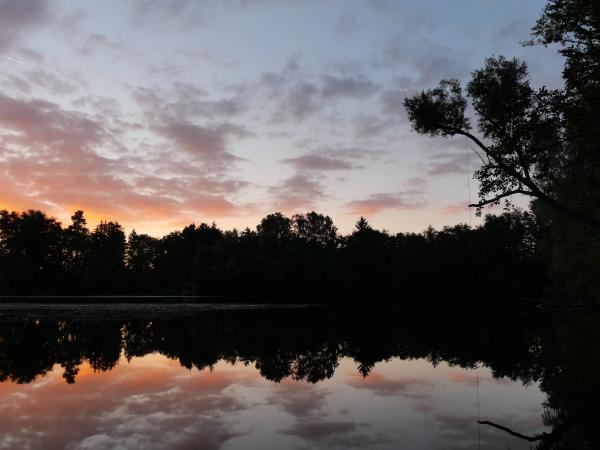 Calm lake reflecting the serene sunset, with silhouettes of trees and a peaceful sky.