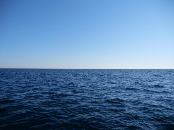 A serene view of the sea with water stretching all the way to the horizon under a clear blue sky.