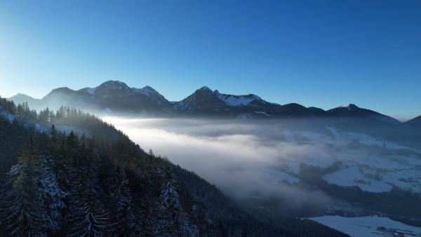 Snow-covered mountains rising above a blanket of clouds and mist with a forest in the foreground under a clear blue sky.