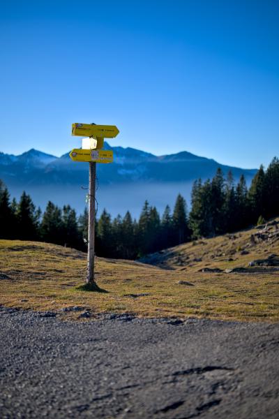 In this picture you can see a hiking trail with a typical bavarian hiking sign. In the background there is a meadow, a forest and in the distance a mountain range below the blue sky.