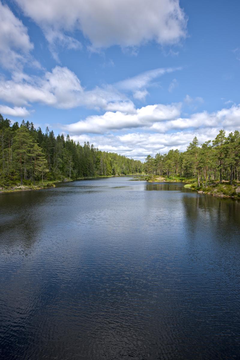 Ein Fluss / See mit Wald zu beiden Seiten. Zu sehen ist der blaue Himmel mit einigen weißen Wolken.