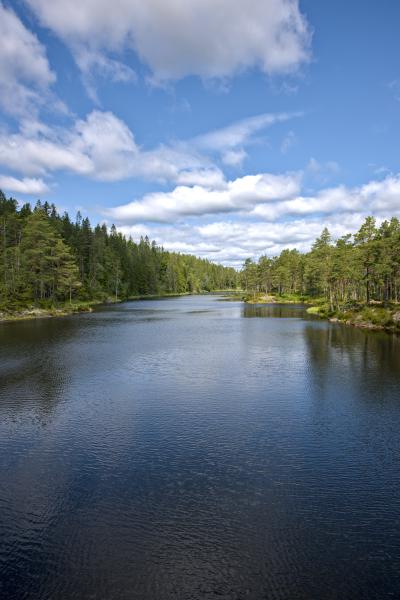 Ein Fluss / See mit Wald zu beiden Seiten. Zu sehen ist der blaue Himmel mit einigen weißen Wolken.