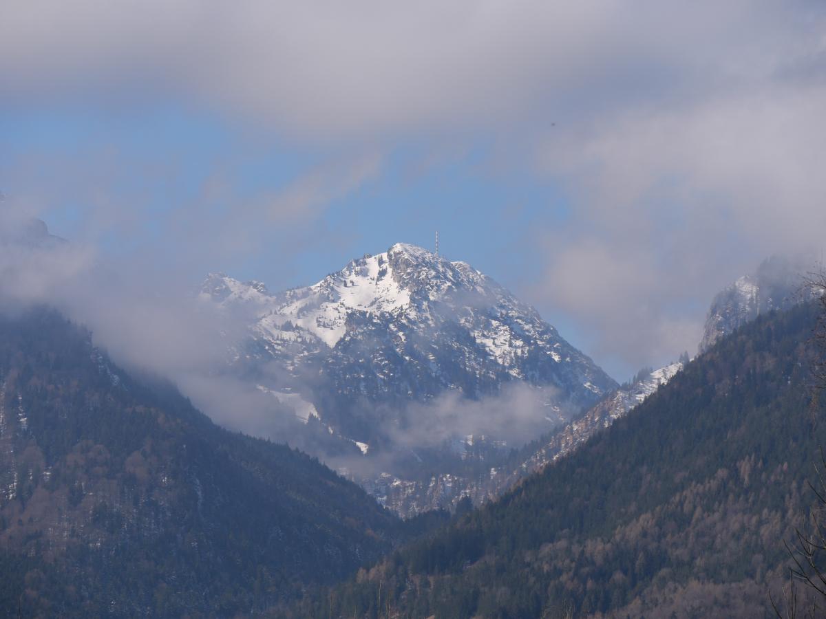 Ein nebliger Berg, der sich über einem dichten Wald auftürmt und die Erhabenheit der Natur betont.