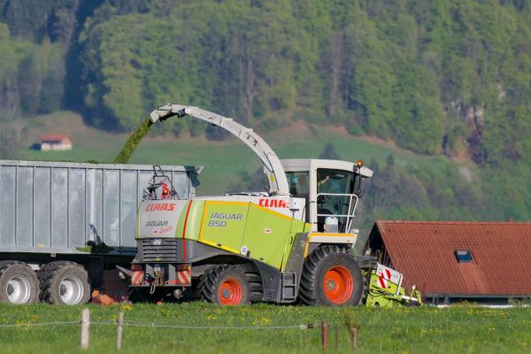 Ein Feldhäcksler CLAAS Jaguar 850, der auf einem ländlichen Feld geschnittenes Gras in einen Anhänger bläst, mit einem Dorf und einem bewaldeten Hang / Berghang im Hintergrund.