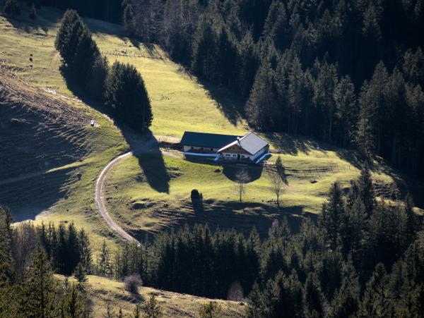 Eine Art Hütte in den bayerischen Bergen. Ein Weg führt zu der Hütte. Sie liegt auf einer kleinen Lichtung, umgeben von Bäumen.