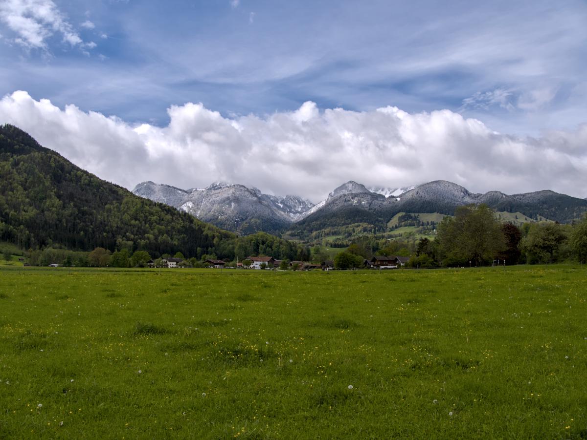 A green meadow with some houses behind it and above them are snow-covered mountains. Over these mountains are some white clouds and further up the sky is blue.