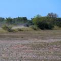 Dust on the Alvar - A Car Crossing Öland's Limestone Plain
