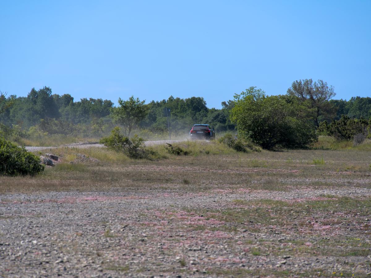 Ein Auto, das auf einer trockenen Straße auf der schwedischen Insel Öland fährt. Im Vordergrund ist steiniger Boden zu sehen, im Hintergrund der blaue Himmel.
