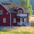 Falu Red and Lupins - A Farmhouse in the Evening Sun