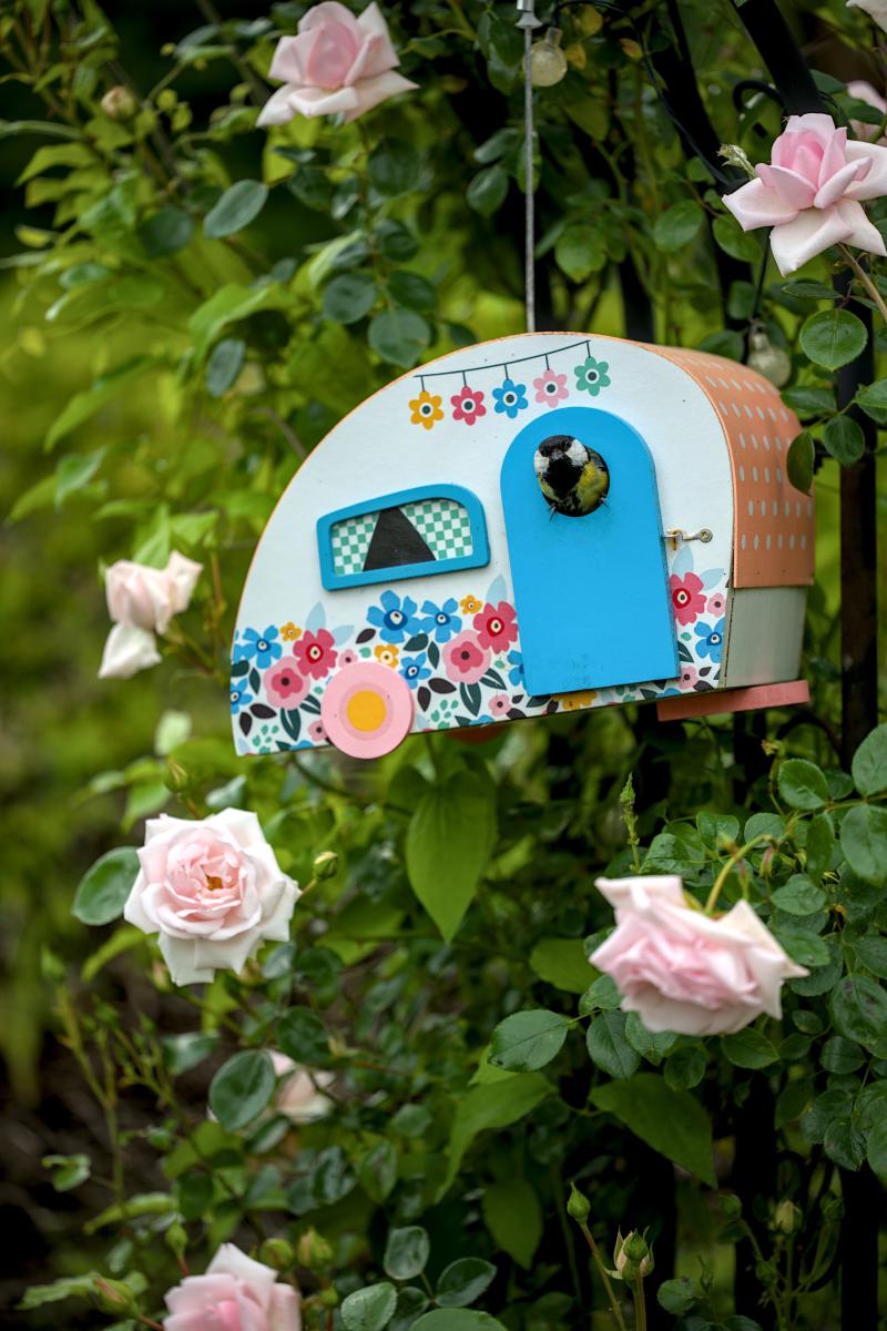 This is a photo of a cute bird with a little bird house in a caravan style. The bird house is hanging in a rose bush so the background is green with some roses.