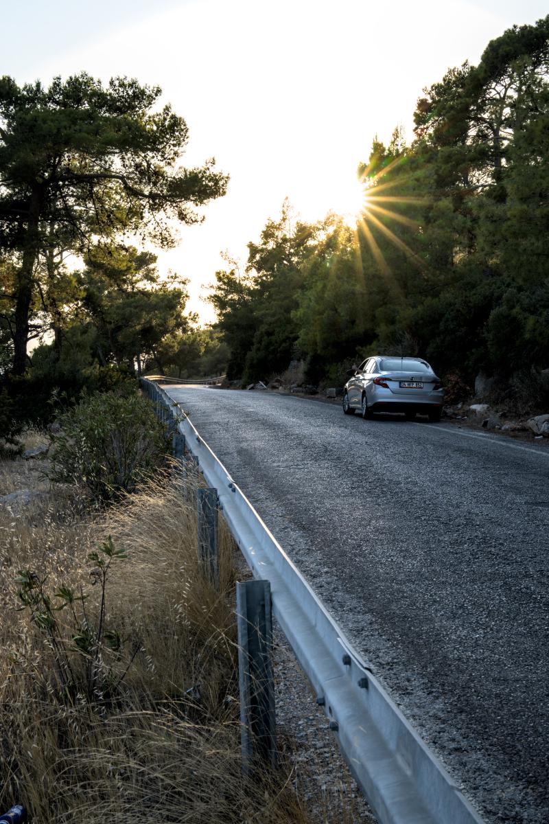 A car parking on the right side of the road giving a thumbs up. Behind the trees you can see a sun star.