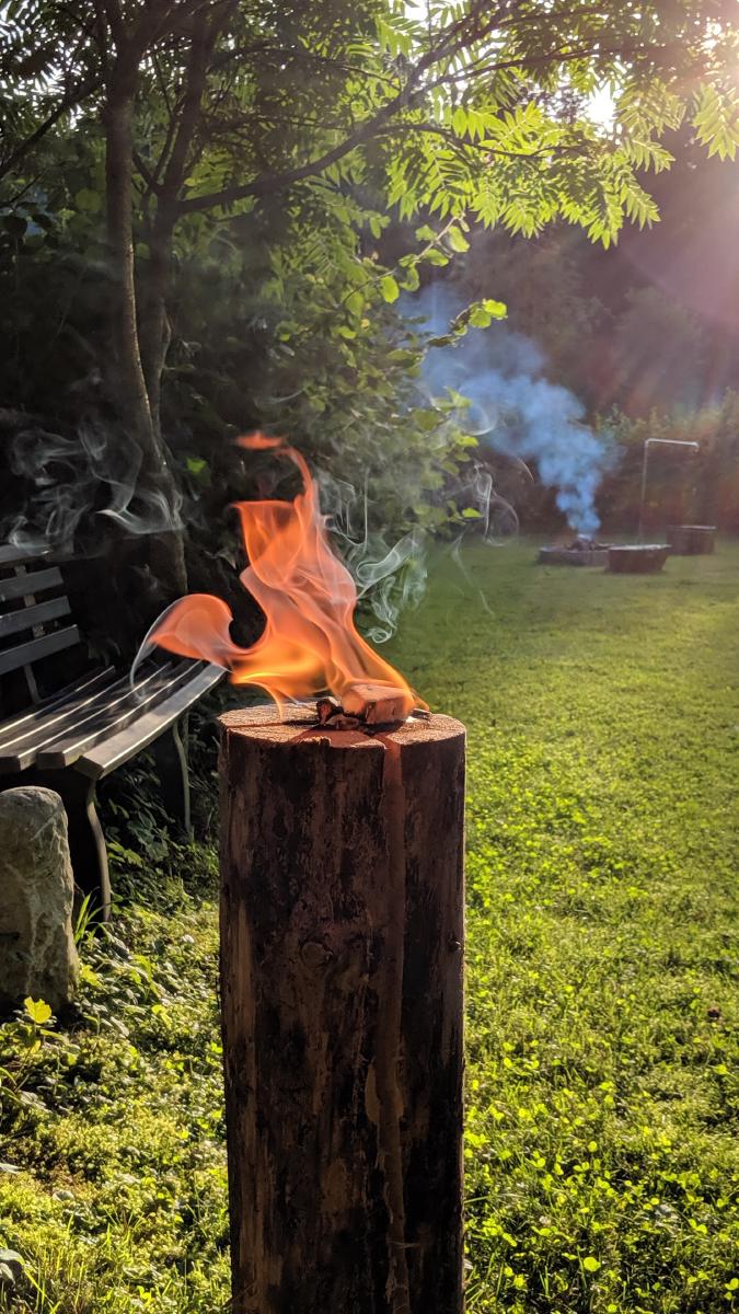 A log of wood burning in a green garden.
