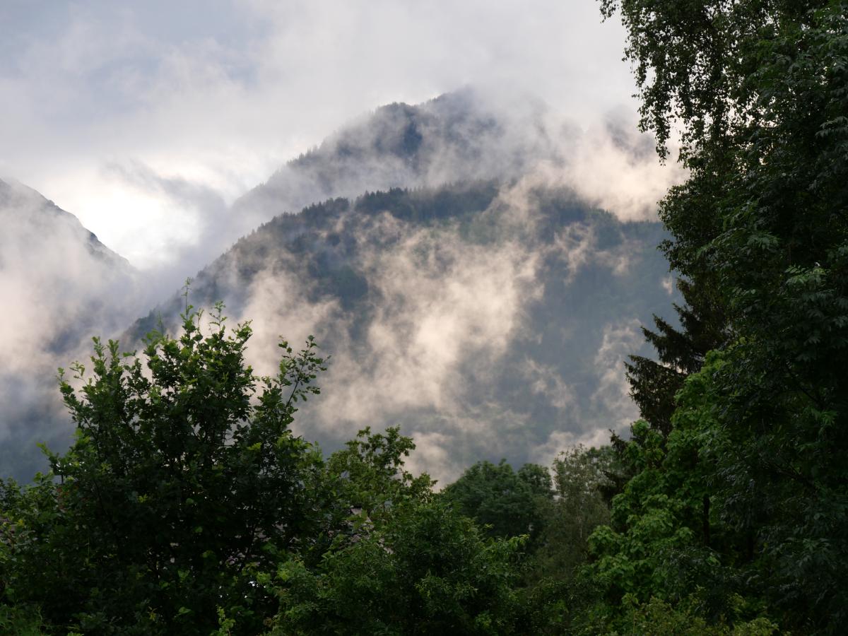 Moody landscape with fog-enveloped mountains and trees.